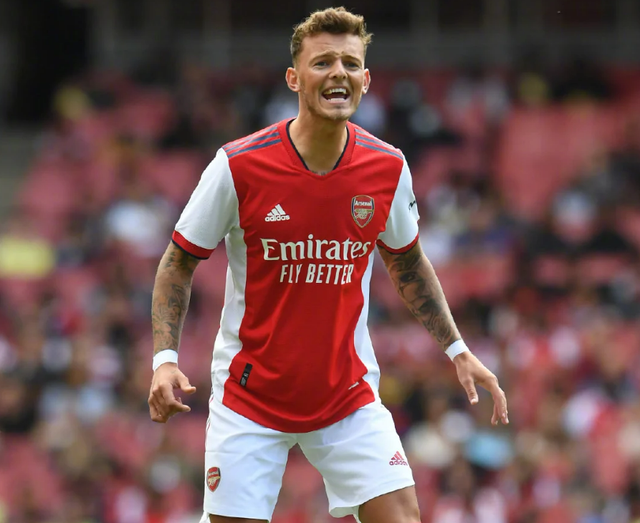 旺财28- 阿森纳名将 