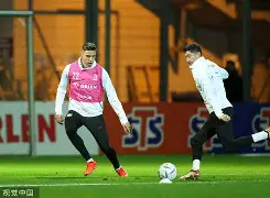 旺财28娱乐- 莱万什么水平 